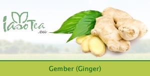 Gember (Ginger)
