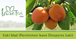 Kaki blad (Persimmon leave Diospyros kaki)