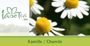 Kamille (Chamile)